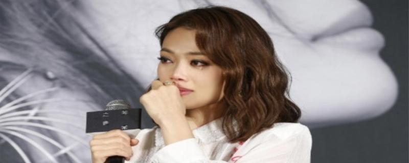 春卷门是什么意思,容祖儿为什么不结婚