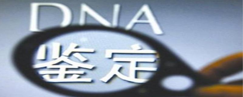 土办法亲子鉴定,亲子鉴定的方法有哪些