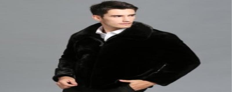 裘皮是什么皮,裘皮和貂皮哪个贵