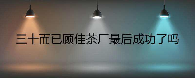 三十而已顾佳茶厂最后成功了吗