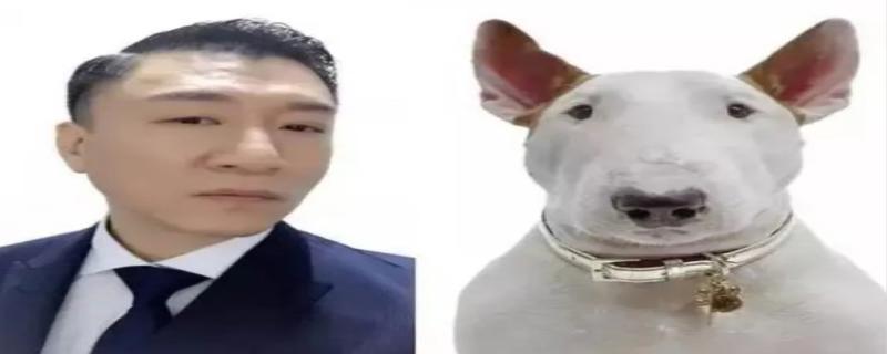孙红雷老婆是谁 孙红雷狗是什么狗
