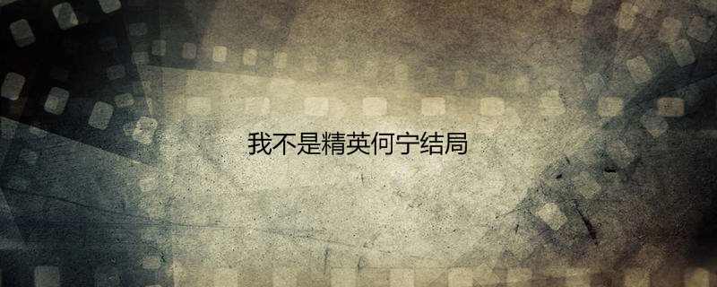 我不是精英何宁结局