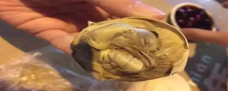 活珠子是啥 活珠子的危害