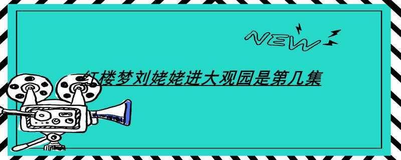 红楼梦刘姥姥进大观园是第几集