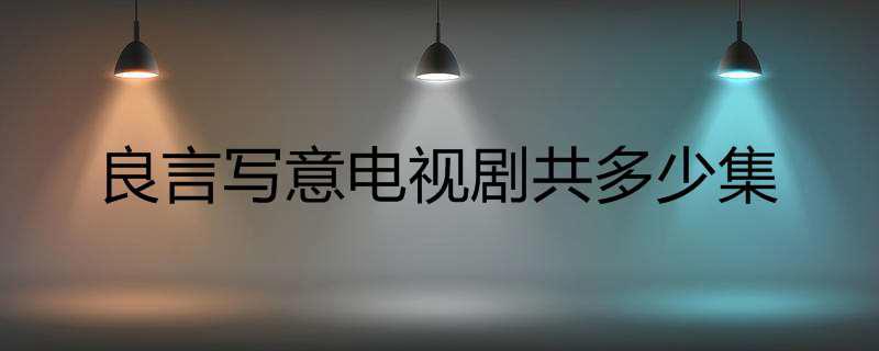良言写意电视剧共多少集