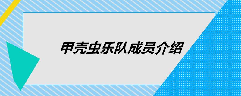 甲壳虫乐队成员介绍