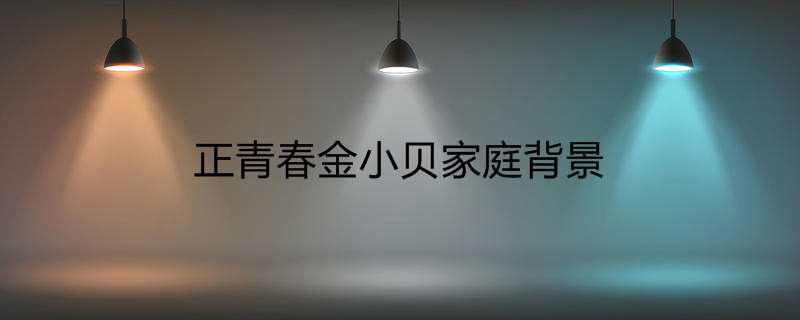 正青春金小贝家庭背景