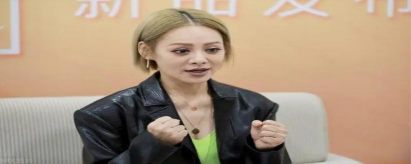 宁静结了几次婚 宁静现任老公是谁