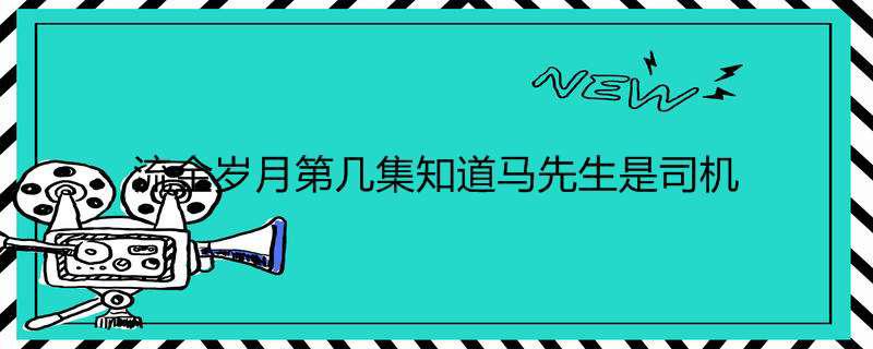 流金岁月第几集知道马先生是司机