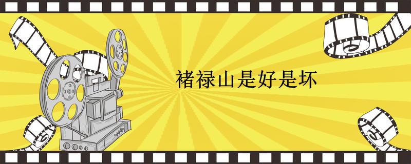 褚禄山是好是坏
