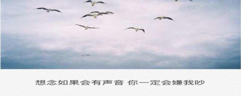 想念一个人他会有感应吗 想念一个人到极致是什么感觉
