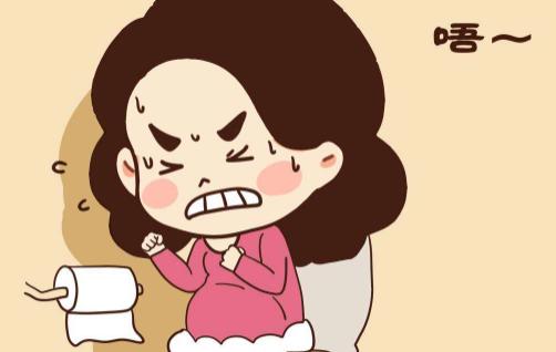 每天都便秘是什么原因引起