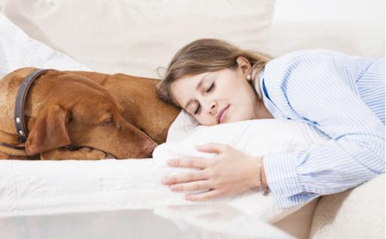 治失眠11种常见最有效的中成药