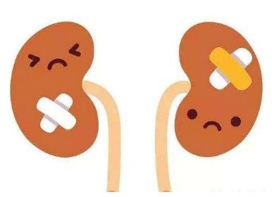 久勃战神价格多少钱一粒 一盒 一瓶