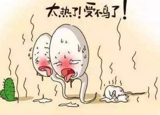 速勃金枪多少钱一盒