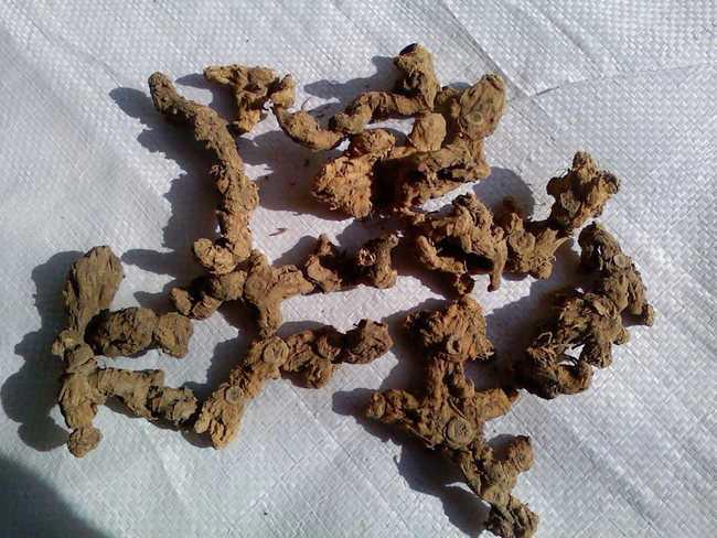 排名第一的口服延时药哪个最好