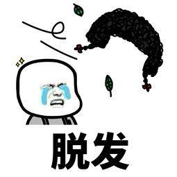 怎样远离脱发