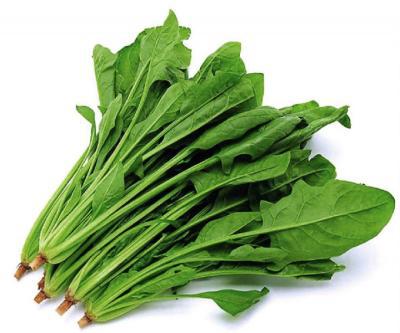 菠菜正确吃法强身降血糖