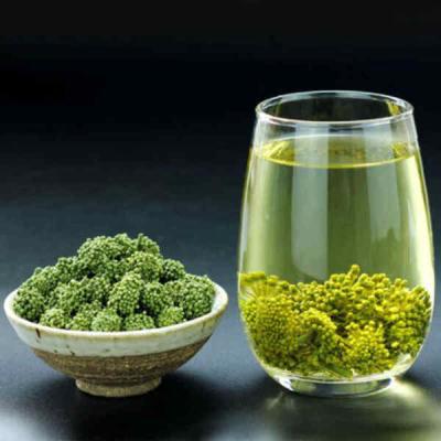 三七花泡茶喝可以降血脂