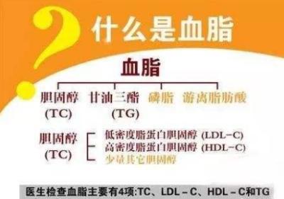 跑步能减少血脂吗？