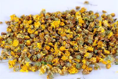 祛痘的中草药你知道有哪些吗?