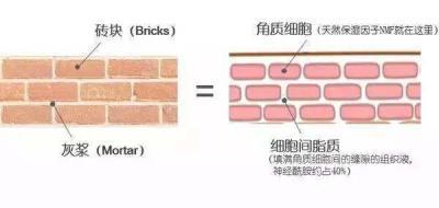 皮肤脱皮干燥怎么办?你知道吗?