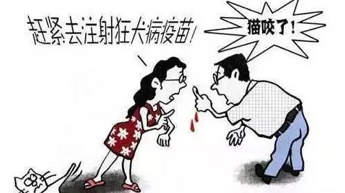 狂犬病症状特点