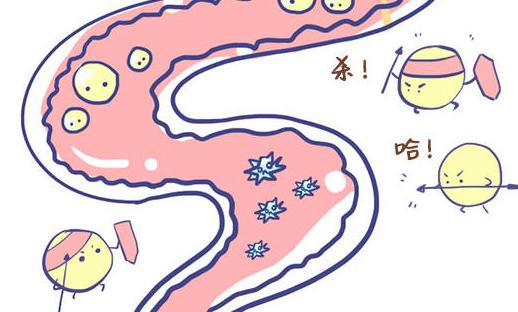 益生菌促进消化系统健康的 8 种方式
