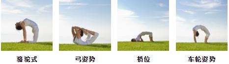 如何用瑜伽治疗背痛