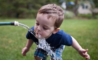 9种使水美味的方法