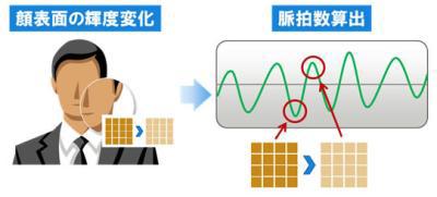 什么是脉搏，如何检查？