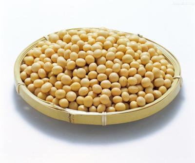 大豆知识