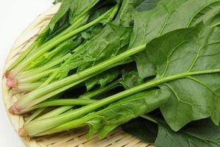 菠菜的健康益处和营养价值