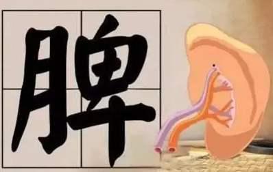 脸色蜡黄有可能是脾虚惹的祸，脾虚的九大症状