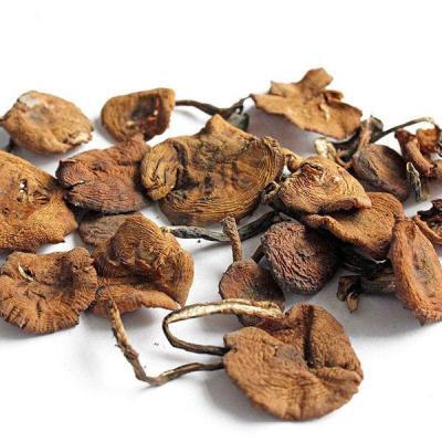 中药可以用水洗吗?