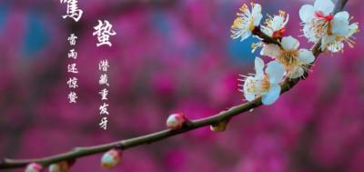 哪一个季节最适合吃红参?