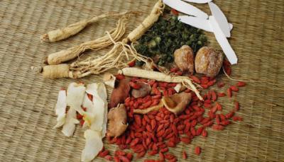 生草乌的药用价值与副作用