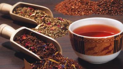 春季喝什么茶最好?