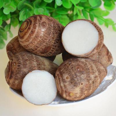 你知道消肿散结有哪些食物吗?