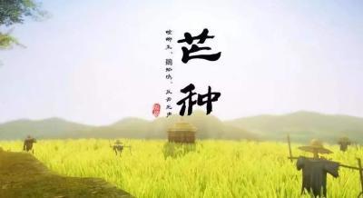 芒种饮食注意事项