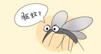夏季预防蚊虫叮咬的绝招