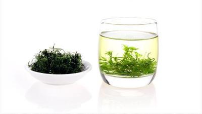 绞股蓝茶养生你了解吗？