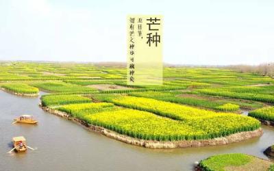 芒种养生应该吃什么呢？