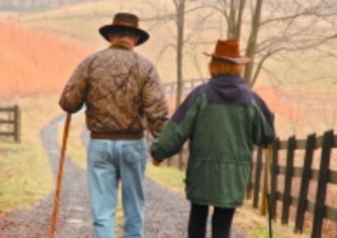 冬季养生应该怎么去做呢？