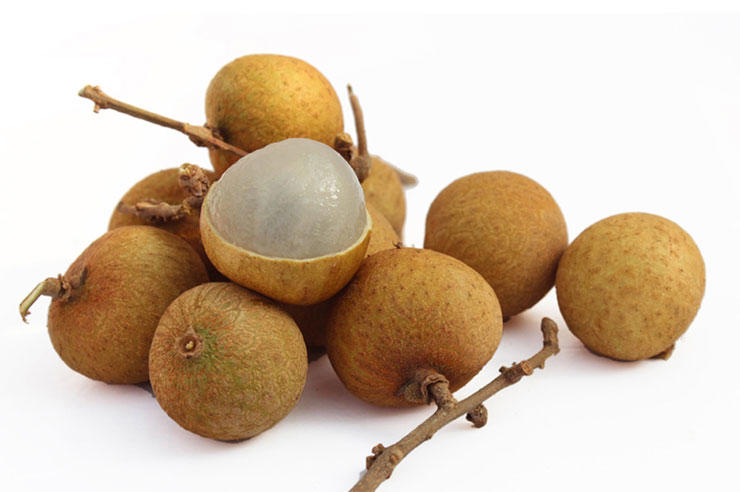 夏季中医养生应该怎么治疗呢？