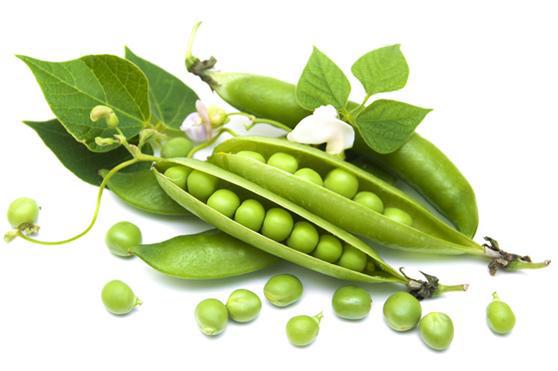 冬季养生应该注意哪些问题呢？