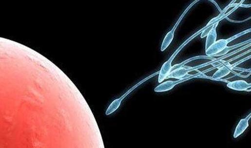 男人硬不起精子少怎么补