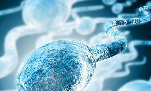 男人硬不起精子少怎么补