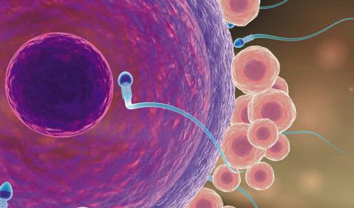 精子产量少怎么办