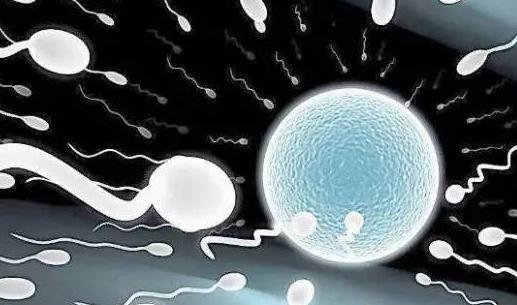精子产量少怎么办